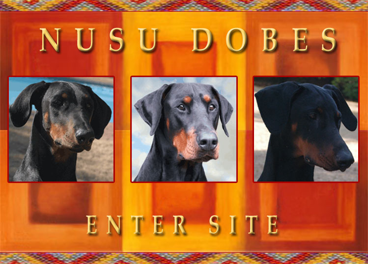 Nusu dobes